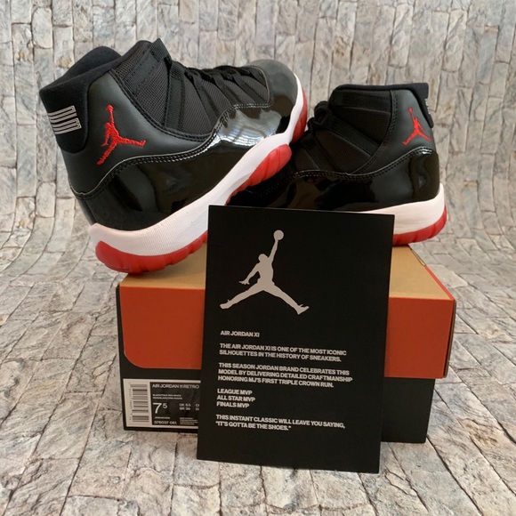 Jordan bred 11 2019 - Picture 3 of 5
